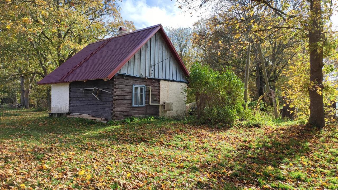 Maison d'hôtes Viini Puhkemaja à Mustjala Extérieur photo