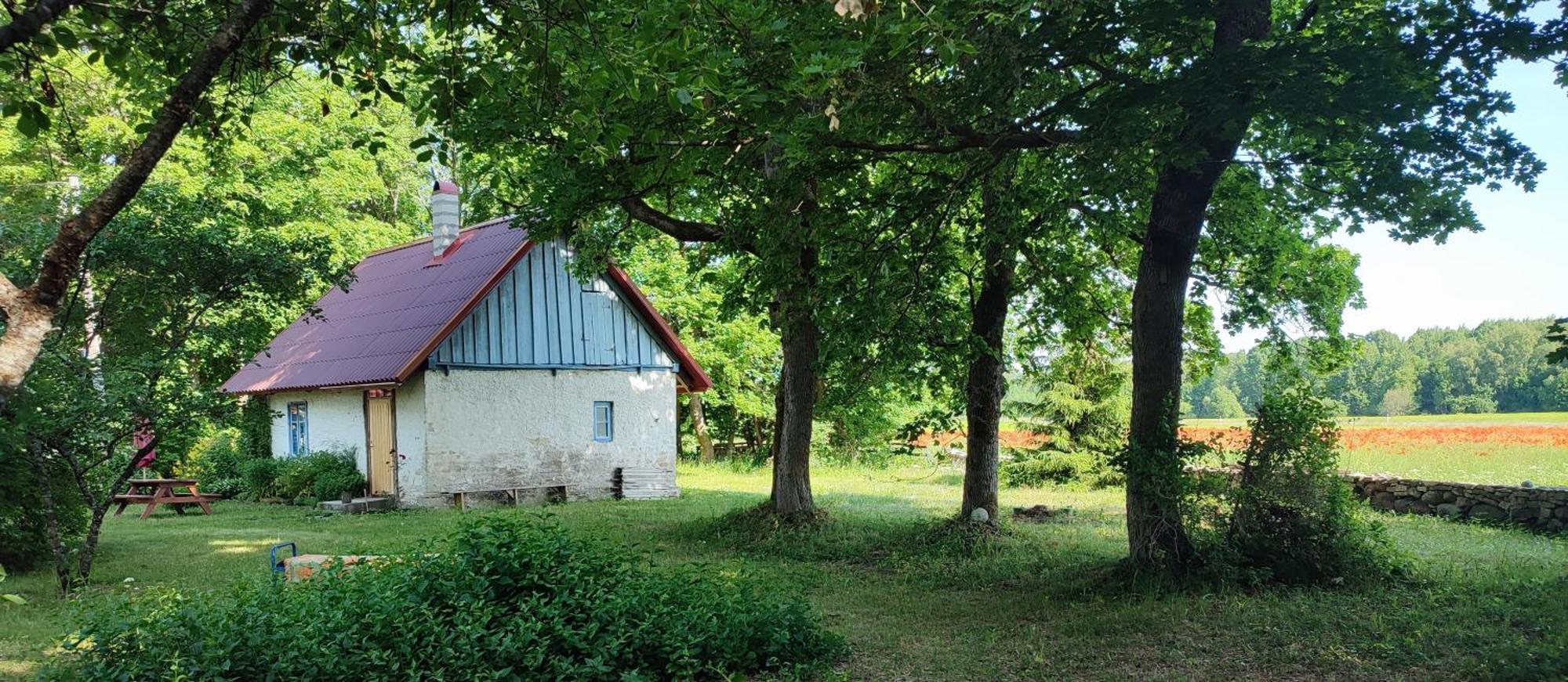 Maison d'hôtes Viini Puhkemaja à Mustjala Extérieur photo